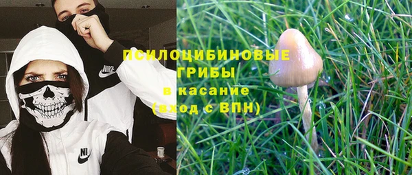 винт Бородино