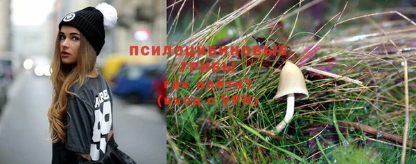 винт Бородино