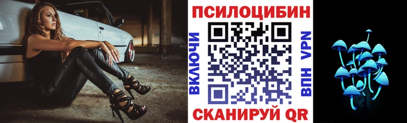 закладки Мегион Галлюциногенные грибы Cubensis